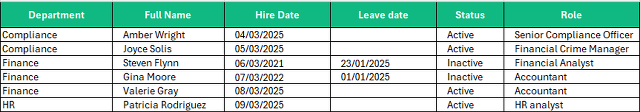Screenshot of an Excel where free text fields is used correctly